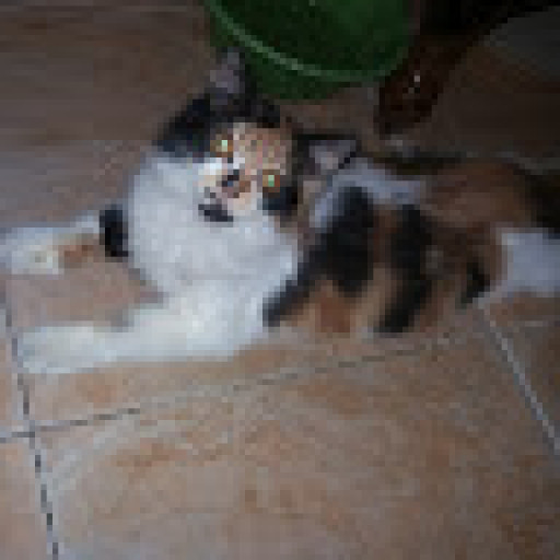 Sekretaris Desa DANDANGGENDIS